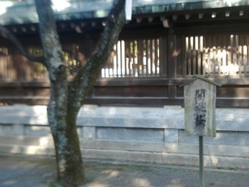 画像を等倍で表示します 画像