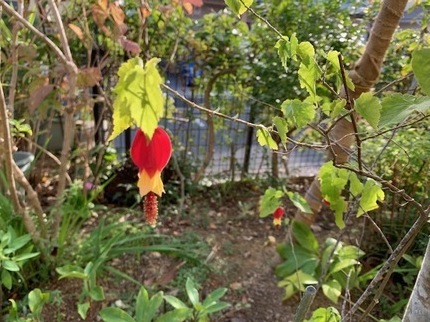 IMG_3539.jpg